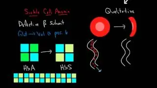 Hemoglobin and Hemoglobinopathies