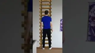 Minecraft ladder irl be like: 