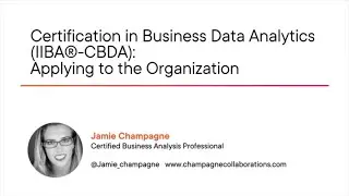 Data Skills: Certification in Business Data Analytics (IIBA®-CBDA) Course Preview