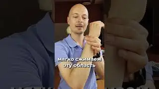 БОЛИТ ЗАПЯСТЬЕ! Что делать? | Упражнение