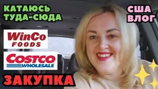 ЗАКУПКА в COSTCO и Не Только Цветы и Торт  Катаюсь Туда-Сюда