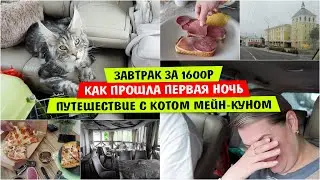 Завтрак за 1600р / Как прошла ПЕРВАЯ НОЧЬ / Путешествие с котом Мейн Куном / Vika Siberia LifeVlog