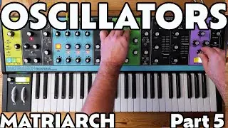 Oscillators | Part 5 | Moog Matriarch Tutorial