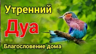 утренний дуа. дуа каждое утро