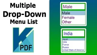 How to create multiple drop down list in PDF form using Kofax Power PDF