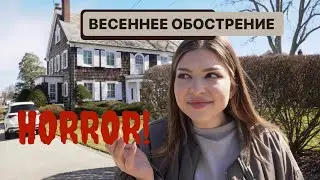 12 VLOG. ВЕСНА в Hamptons, ПОЕЗДКИ и разборки с КОПАМИ