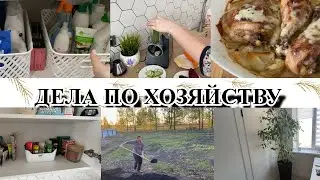 VLOG: КАРТОШКА С МЯСОМ в ДУХОВКЕ/РАЗЛЮБИЛА СПЕЦИИ/НАВОЖУ ПОРЯДОК/КАК ОБЛЕГЧИТЬ СЕБЕ ТРУД/ ОГОРОД