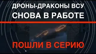 Дроны-драконы ВСУ в работе: Пошли в серию