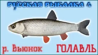 РР4 ВЬЮНОК ГОЛАВЛЬ / РУССКАЯ РЫБАЛКА 4  ВЬЮНОК ГОЛАВЛЬ / RUSSIAN FISHING 4 WINDING RIVULET CHUB