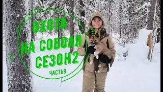 Охота на соболя.Сезон 2. Часть 9. Новая надежда. Соболь есть.