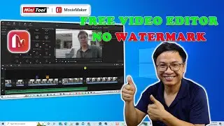 MiniTool MovieMaker Review | Best Free Video Editor for Windows?