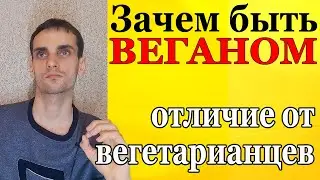 Чем отличается веган и вегетарианец. Зачем быть веганом