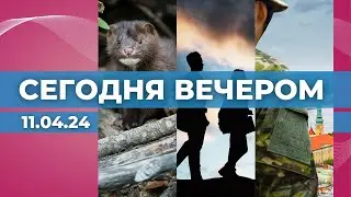 Запрет на добычу пушнины | Разделение мигрантов | Рига готовится часу Х