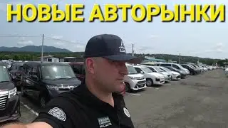 АВТОРЫНКИ НОВОСТИ ВЛАДИВОСТОКА, ЦЕНЫ ВИДЕО 🙄 ГДЕ ДЕШЕВЛЕ КУПИТЬ