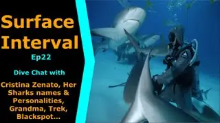 LOVE SHARKS Cristina Zenato Joins us on Surface Interval 22, Cave Diver, Explorer & Educator