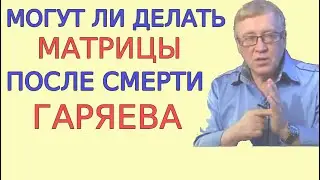 Гаряев: 