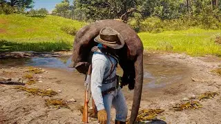 HUNTING THE RARE LEGENDARY PANTHER in Red Dead Redemption 2..