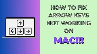 How to Fix Arrow Keys Not Working on Mac