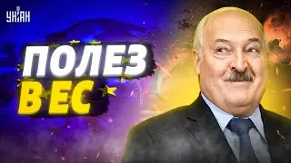 Ошалевший Лукашенко рыпнулся на ЕС. НАТО готовит ответ: подстилку Путина вынесут из Минска