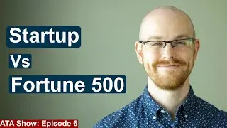 Working at a Startup vs Fortune 500 Company | Alex The Analyst Show | Episode 6