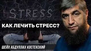 Как лечить стресс?