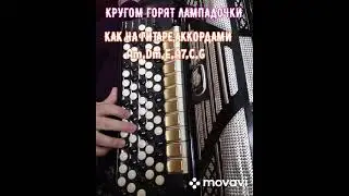 БАЯН.КРУГОМ ГОРЯТ ЛАМПАДОЧКИ.БЕЗ НОТ АККОРДАМИ Am,Dm,E,F,C,G,КАК НА ГИТАРЕ.РУССКАЯ НАРОДНАЯ ПЕСНЯ.