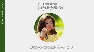 Природное сообщество – озеро | Окружающий мир 3 класс #37 | Инфоурок