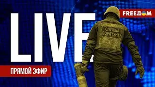 Телеканал FREEДОМ. Прямой эфир | Ночь 8.11.2023