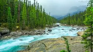 4k UHD Beautiful Banff River Flowing Sound. Turquoise River, White Noise, Nature Sounds 10 Hours.