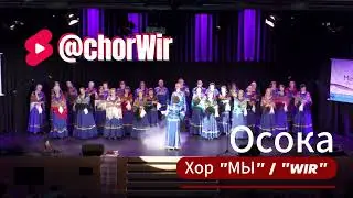 "Осока" исп. хор "WIR"