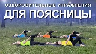 Оздоровительные Упражнения для Поясницы