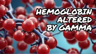 3 Weird Ways Gamma Radiation Alters Hemoglobin You Never Knew