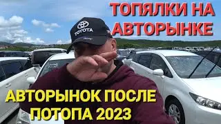 АВТОРЫНОК ПОСЛЕ ПОТОПА, ТОПЛЯКИ НА АВТОРЫНКЕ, ВЛАДИВОСТОК, ЗЕЛЁНЫЙ УГОЛ 2023