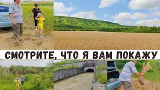 Смотрите, что я вам покажу 😍 Родина у каждого своя...Сельский ужин 😋