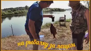 На Рыбалку за ЛЕЩОМ и ЩУКОЙ   р. ЛУГА. 2023Г