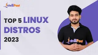 Linux Distro Explained | Top 5 Linux Distros 2023 | Linux Ecosystem | Intellipaat