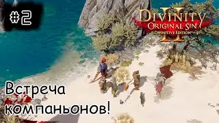 [stream] Divinity: Original Sin II (STEAM) - Кооперативные приключашки.