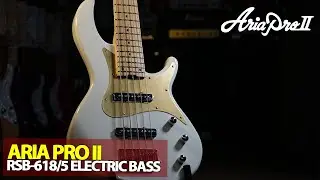 PUNCHY LOWS of the Aria Pro II RSB-618/5 Bass! 