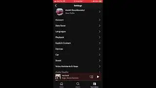 How to enable or disable short looping videos - Canvas - in Spotify?