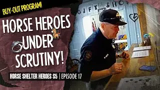 Horse Shelter Heroes S5E17 - Horse Heroes Under Scrutiny