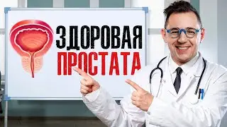 Сколько стоит здоровая простата?