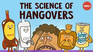 How does alcohol cause hangovers? - Judy Grisel