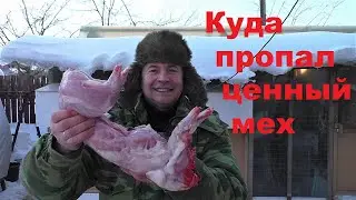 КРОЛИКИ ЭТО НЕ ЦЕННЫЙ МЕХ А ТОЛЬКО МЯСО Кролики содержание и разведение