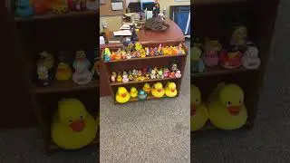 Rubber duck collection! #rubberduck