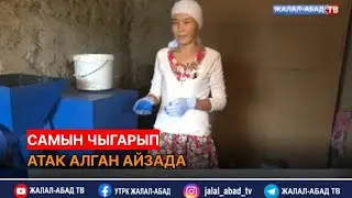 Самын чыгарып атак алган Айзада