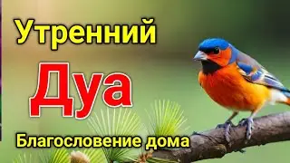 утренний дуа. дуа каждое утро