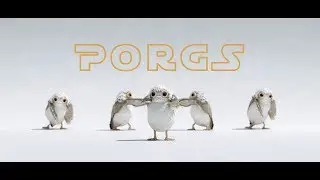 Porgs — Casefilm