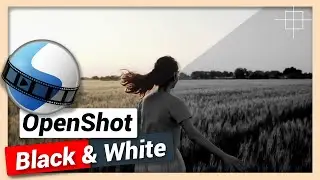 Cinematic Black and White Effect on Video | OpenShot Tutorial