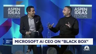 Microsoft AI CEO Mustafa Suleyman on Black Box