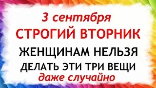 3 сентября День Фаддея. Что нельзя делать 3 сентября в День Фаддея. Народные Приметы и Традиции Дня.